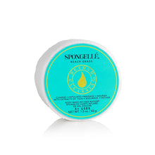Load image into Gallery viewer, Spongellé SPONGETTE In Various Scents