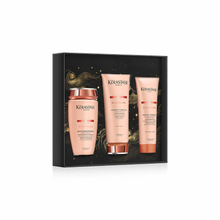 Load image into Gallery viewer, Kerastase Discipline Luxury Holiday Gift Set
