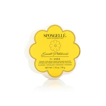 Load image into Gallery viewer, Spongelle Daisy Spongette
